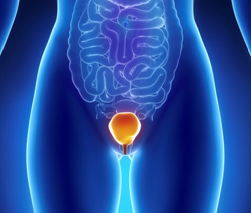 Incontinence