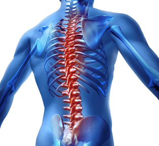 Spine Disorders
