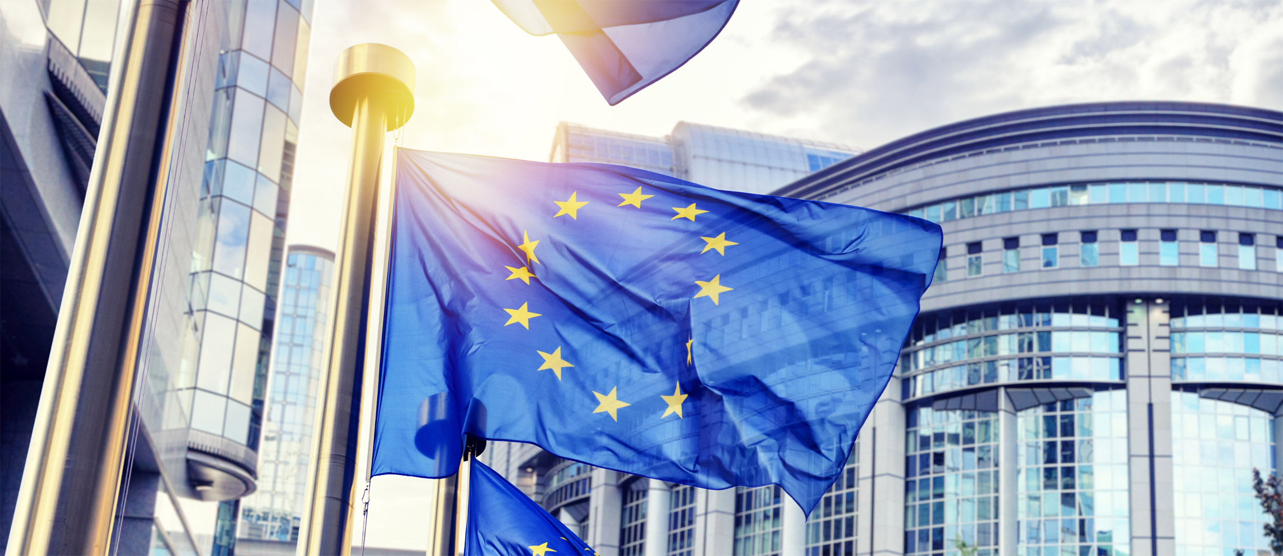 European flags in front of EU parliament building Brussels