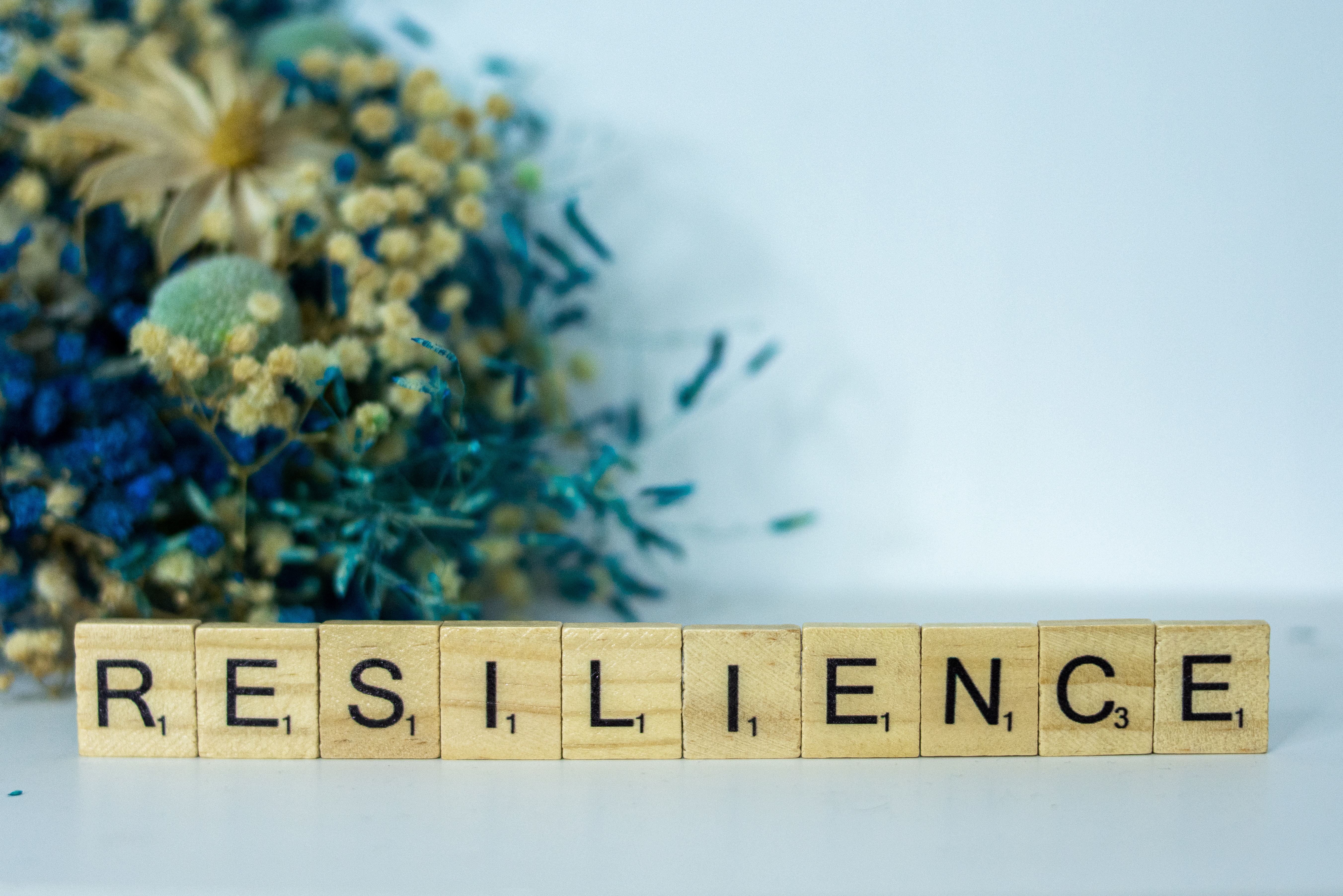 Scrabble letters spelling 'resilience'