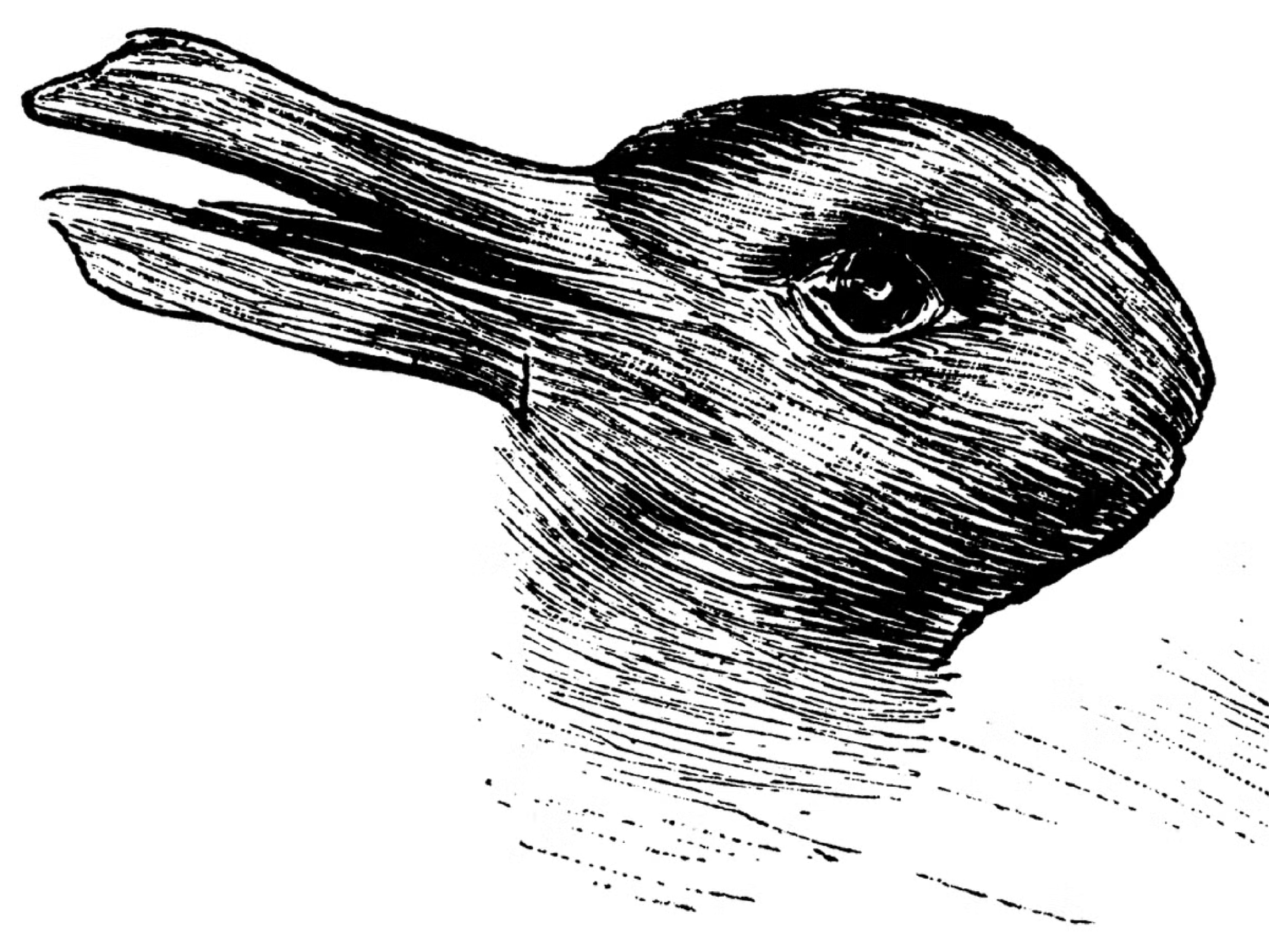 Duck or Rabbit