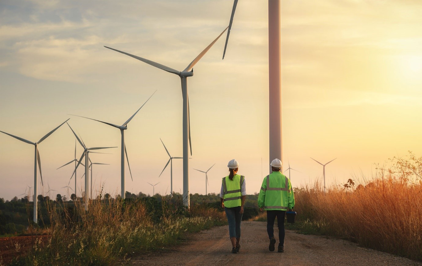 two people walking towards wind turbines