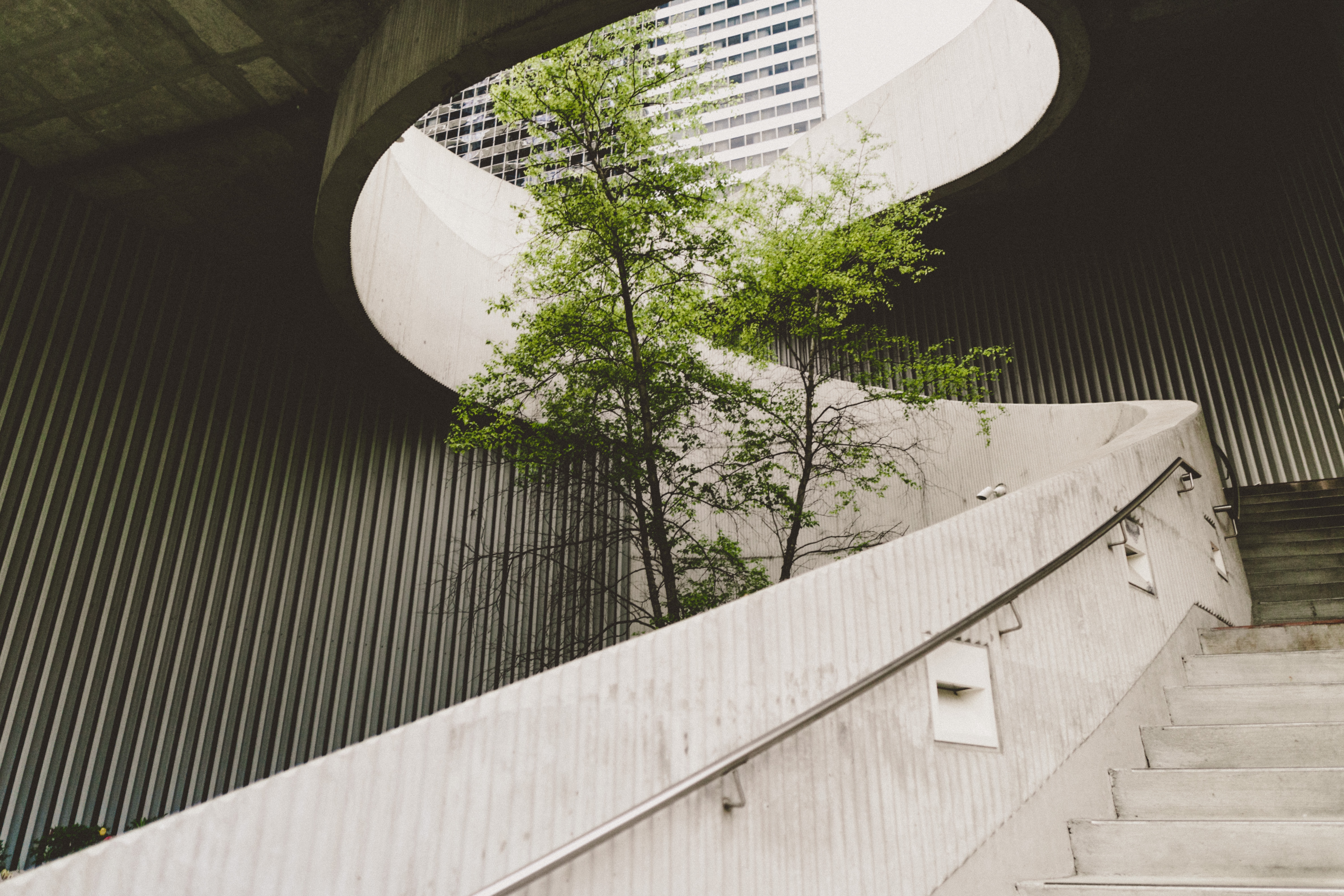 a tree surounded by stairs