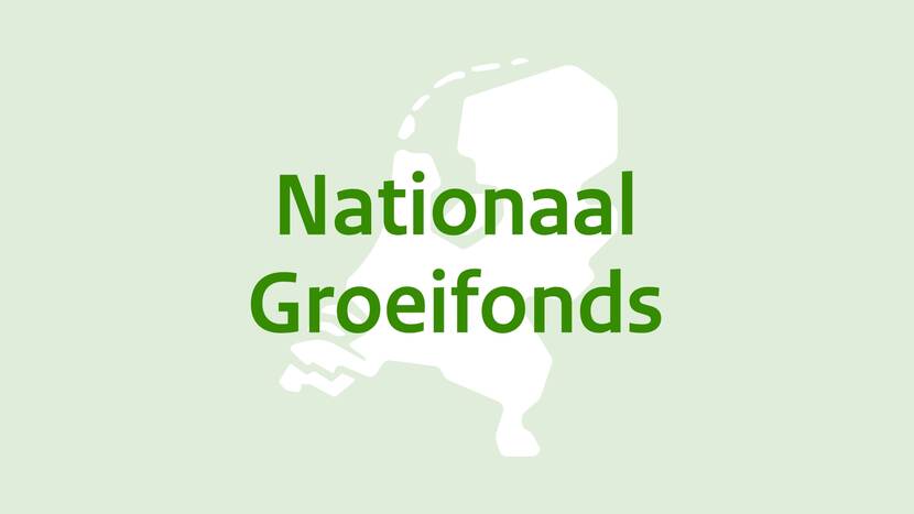 Nationaal Groeifonds