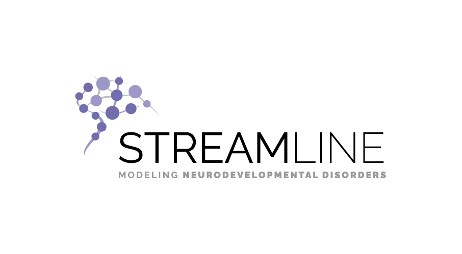 Streamline logo