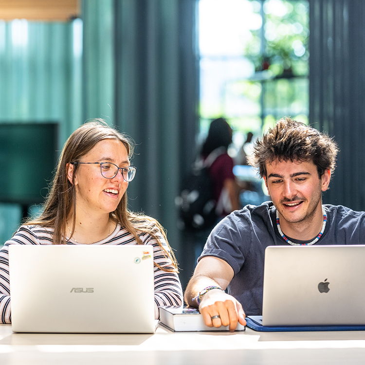 Two students working on their laptop