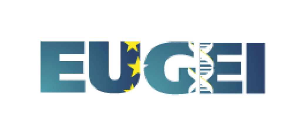 EU-GEI logo