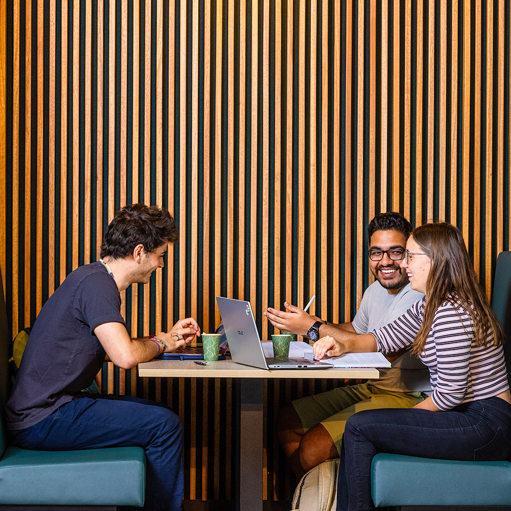 Students studying
