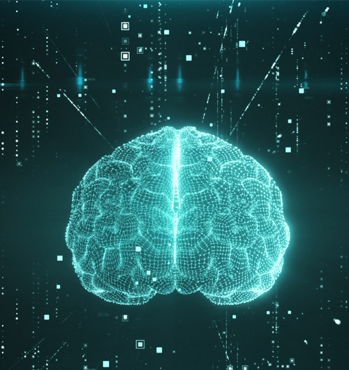 Illustration of humen brain