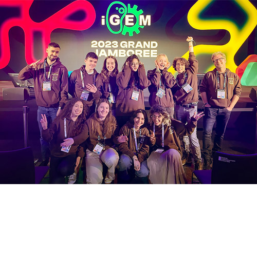 Igem competition winners