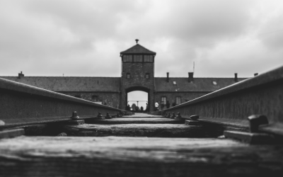 Documenting Holocaust_TL_SG