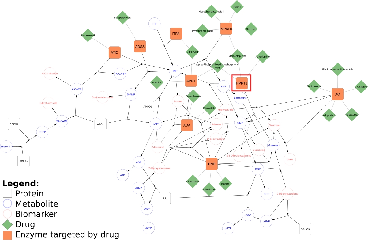 Functional Analysis of a WikiPathways pathway model extended with drug targets through CyTargetLinker.