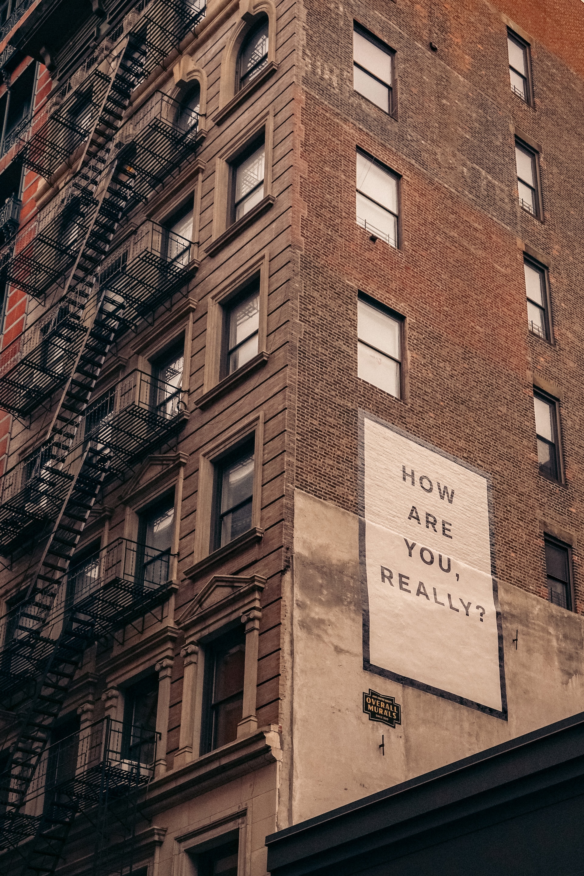 Building with sign that states "How are you really?" - Photo by Finn on Unsplash