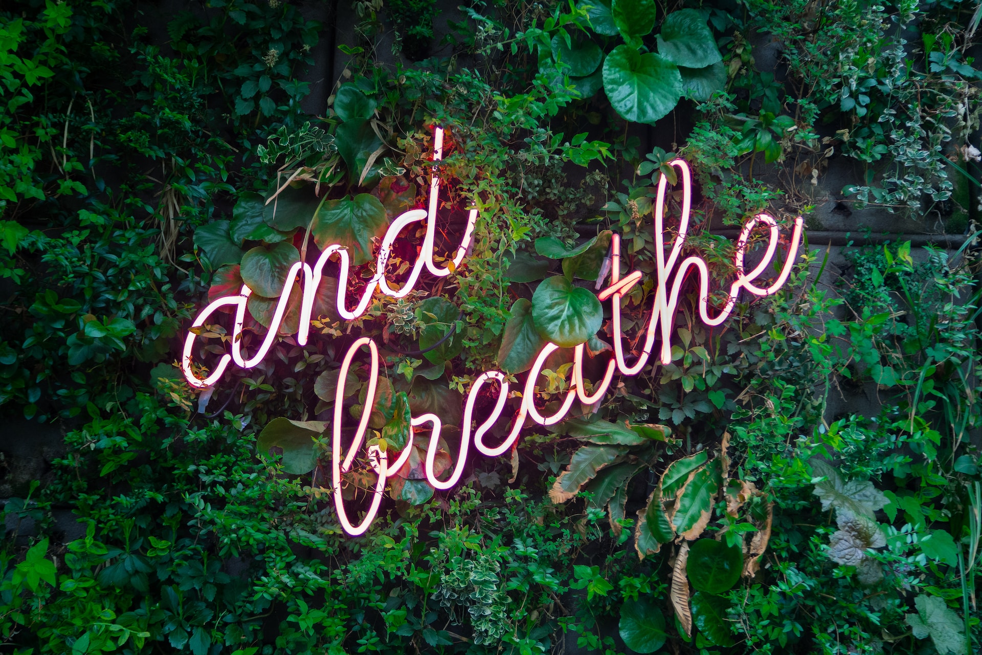 "and breathe" neon sign - Photo by Max van den Oetelaar on Unsplash