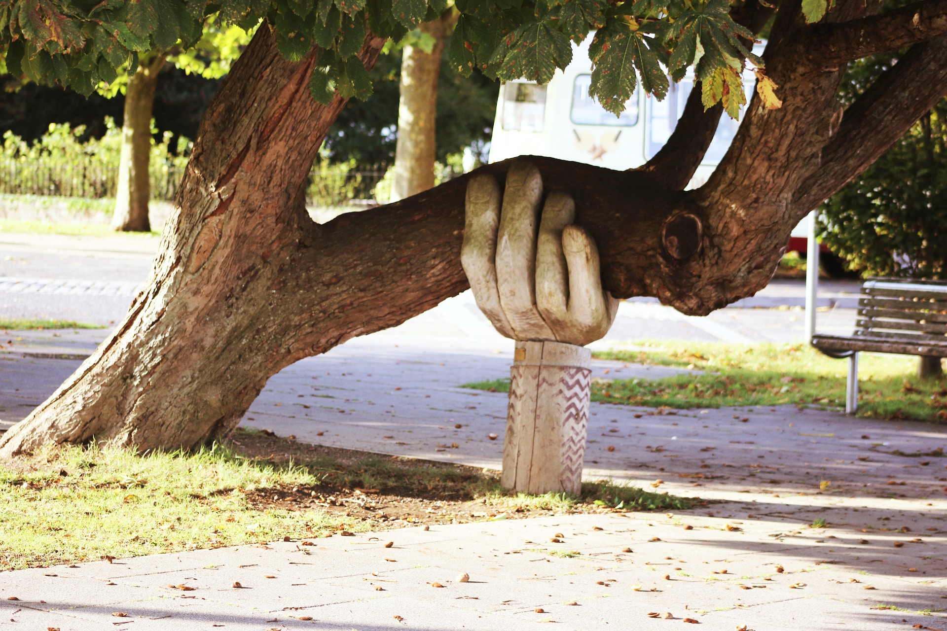 Statue of a hand supporting a tree