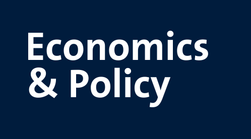 Economics and Policy