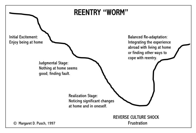 Schedule 'Re-entry worm' describing how you feel after returning from a study period abroad