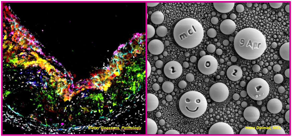 Microscopy CORE lab Ambassadors Day images