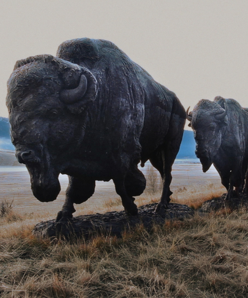 Foto van Bisons. Still uit de film There is a Place on Earth