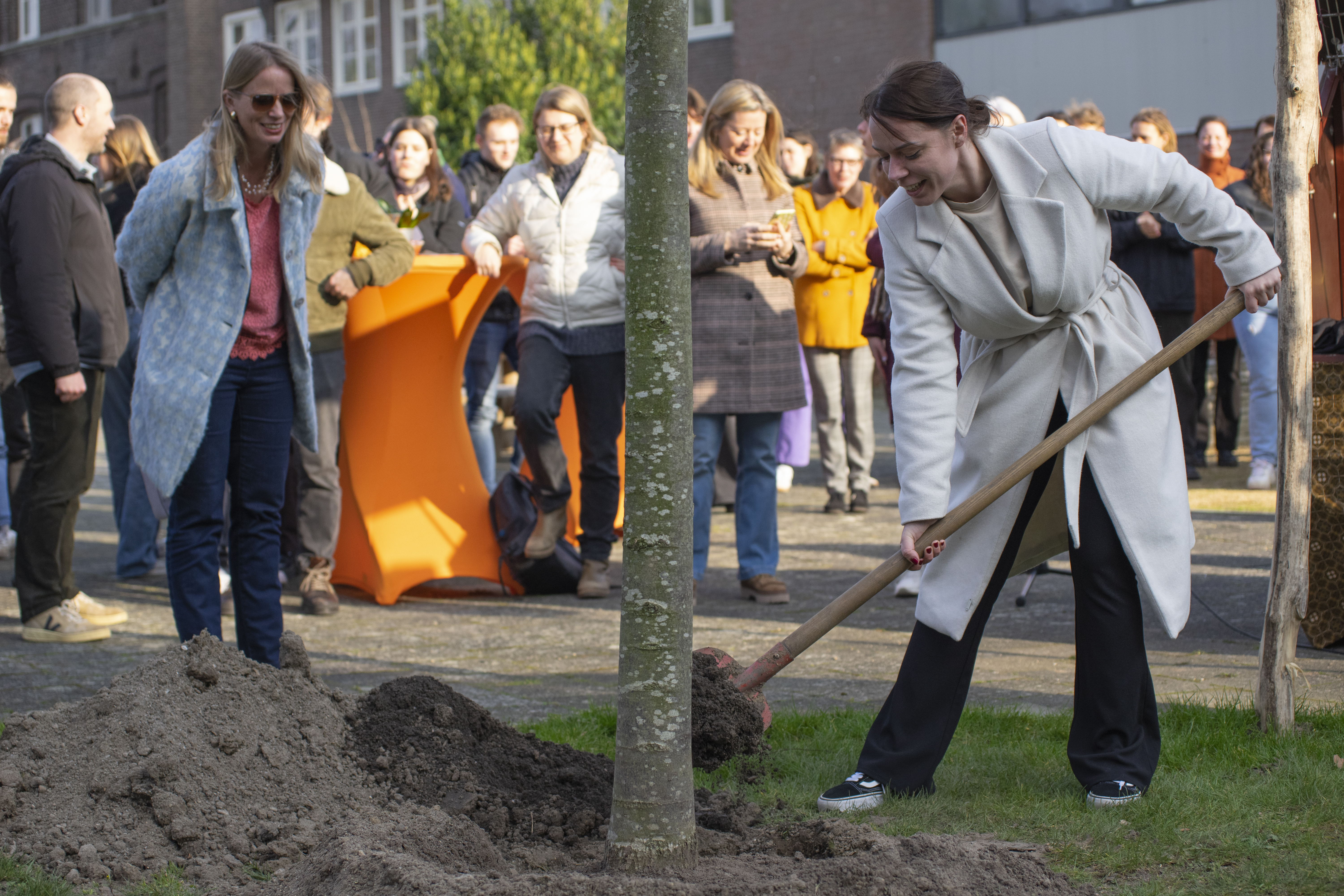 Fasos boom planten