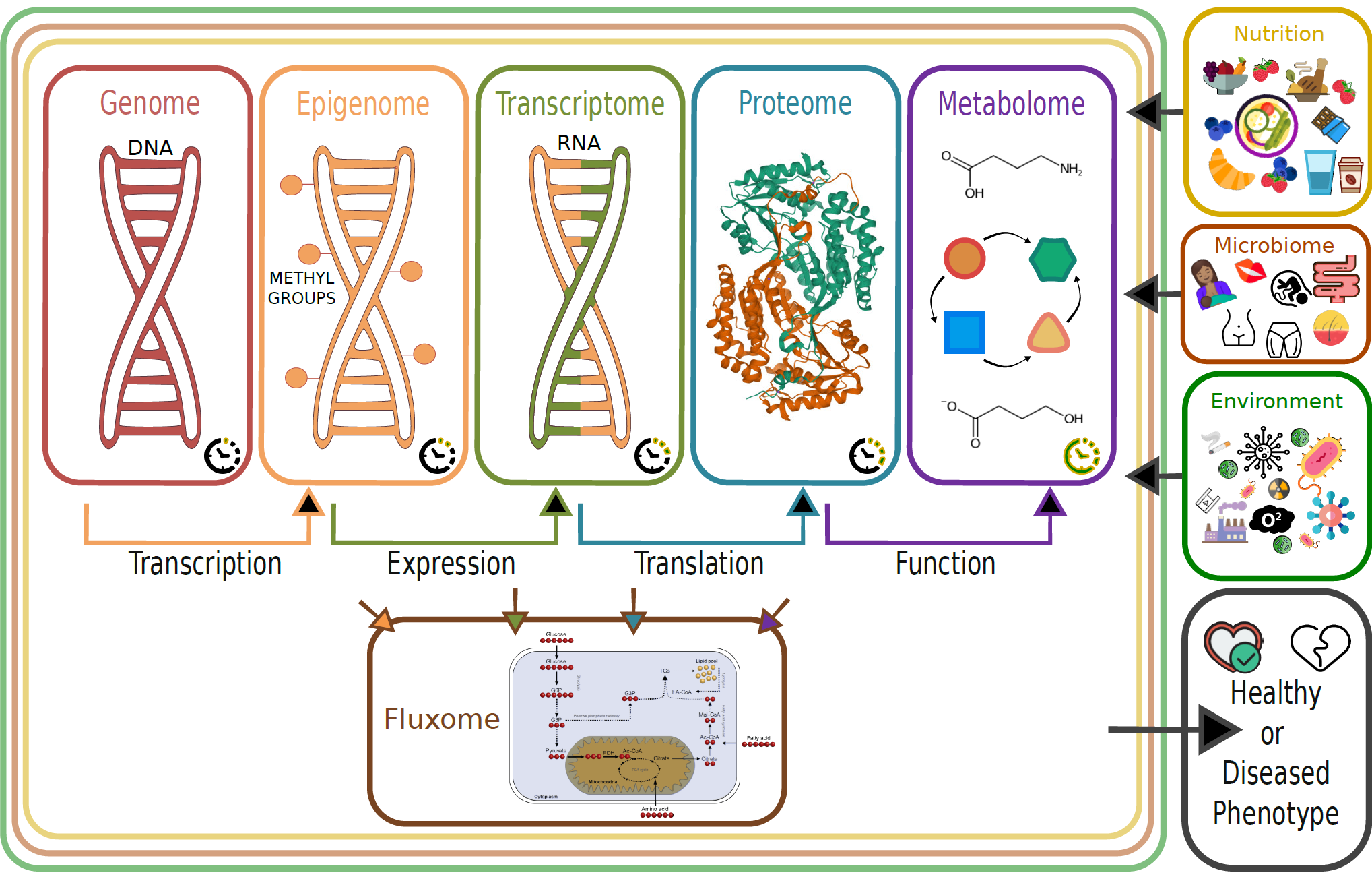 Diagram highlighting the relationships between internal factors (genome, epigenome, transcriptome, proteome, metabolome, and fluxome), external factors (nutrition and environment), and the microbiome; all contributing to either a healthy phenotype or to disease(s).