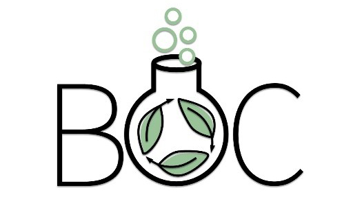 BOC logo