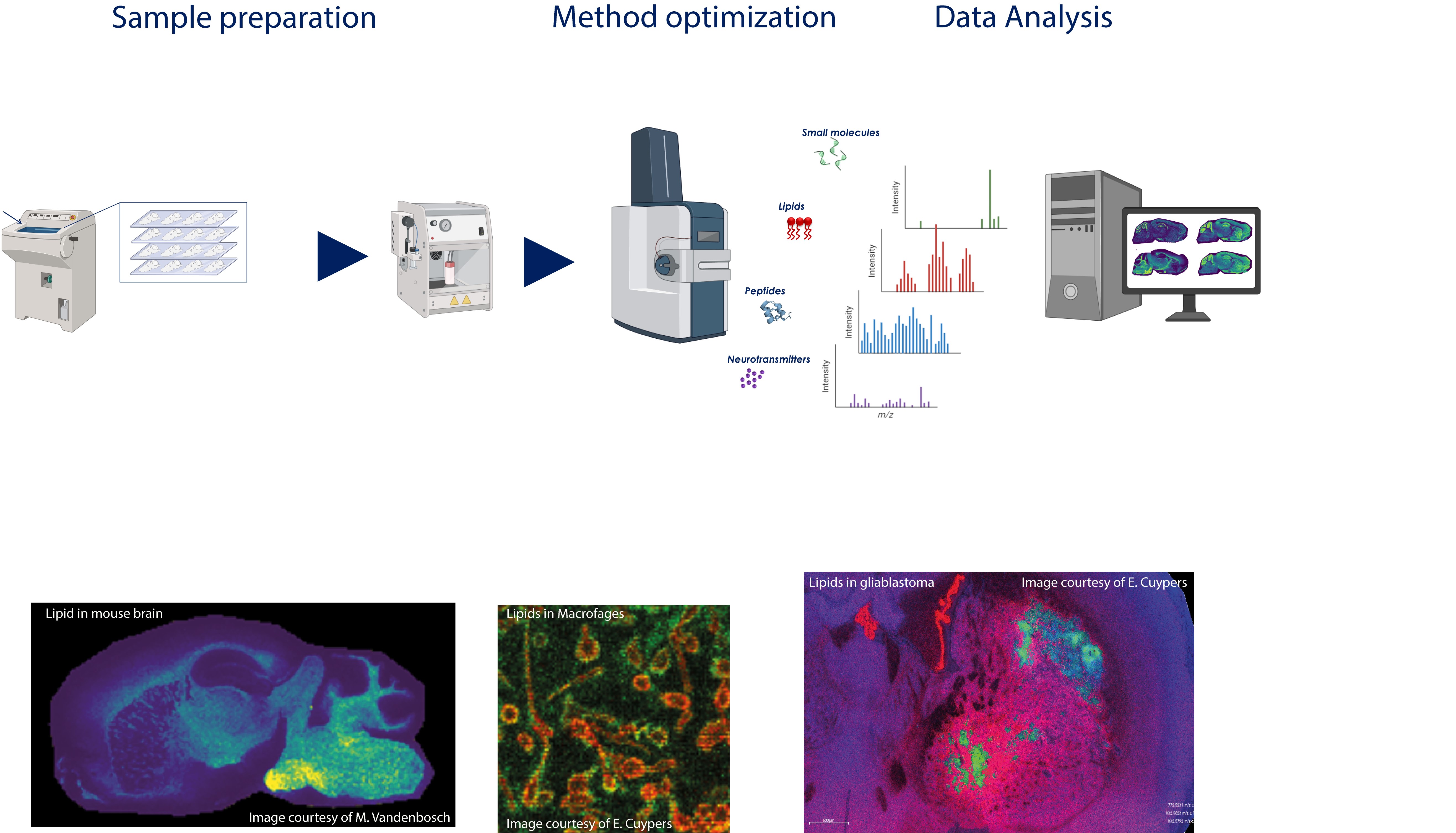M4i Mass Spectrometry Imaging Workshop