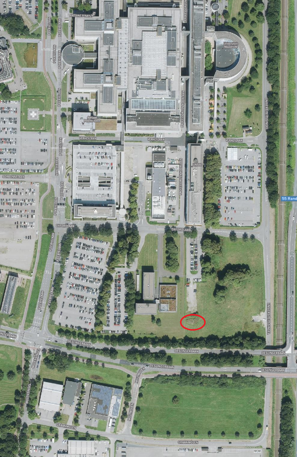 Bee Hot Spot location