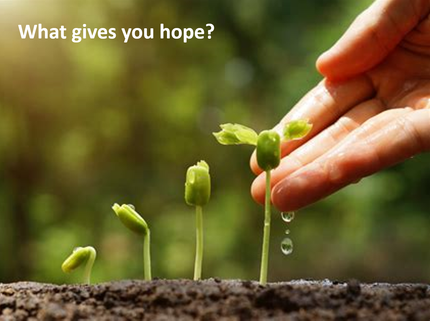 positive psychology workshop