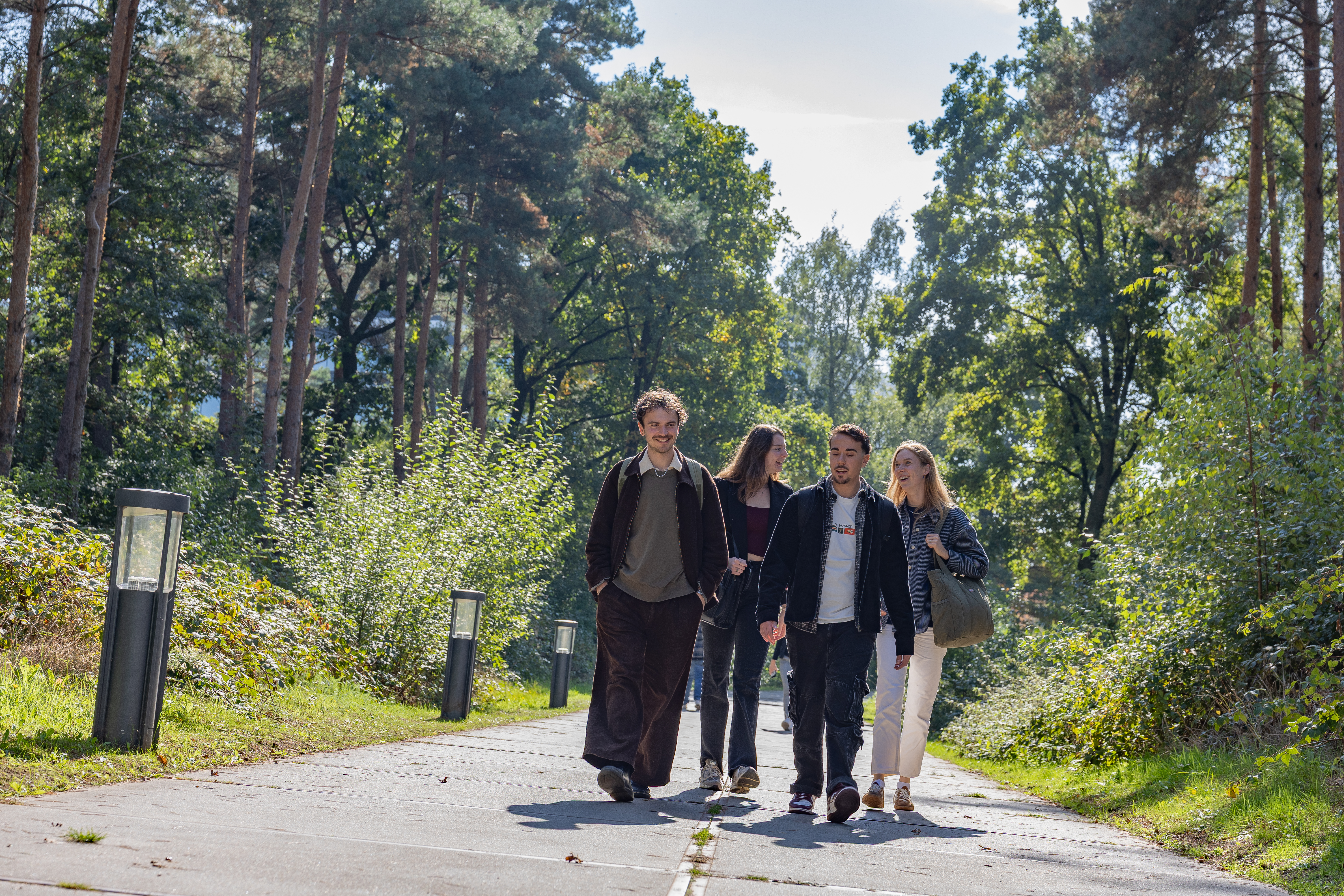 Students walking paved path through forest