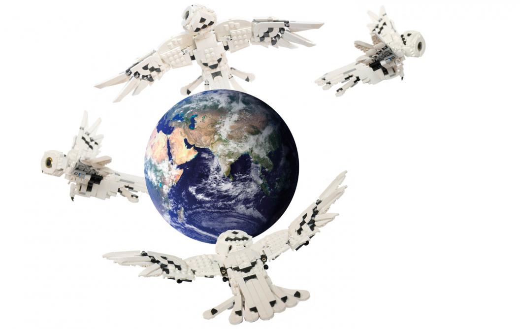 Digital owls circling around planet earth