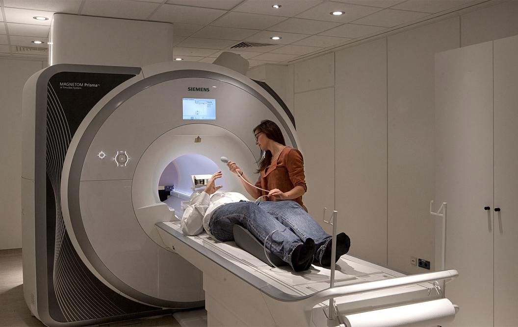 Cognitive Neuroscience – CN / Maastricht Brain Imaging Centre – M-BIC