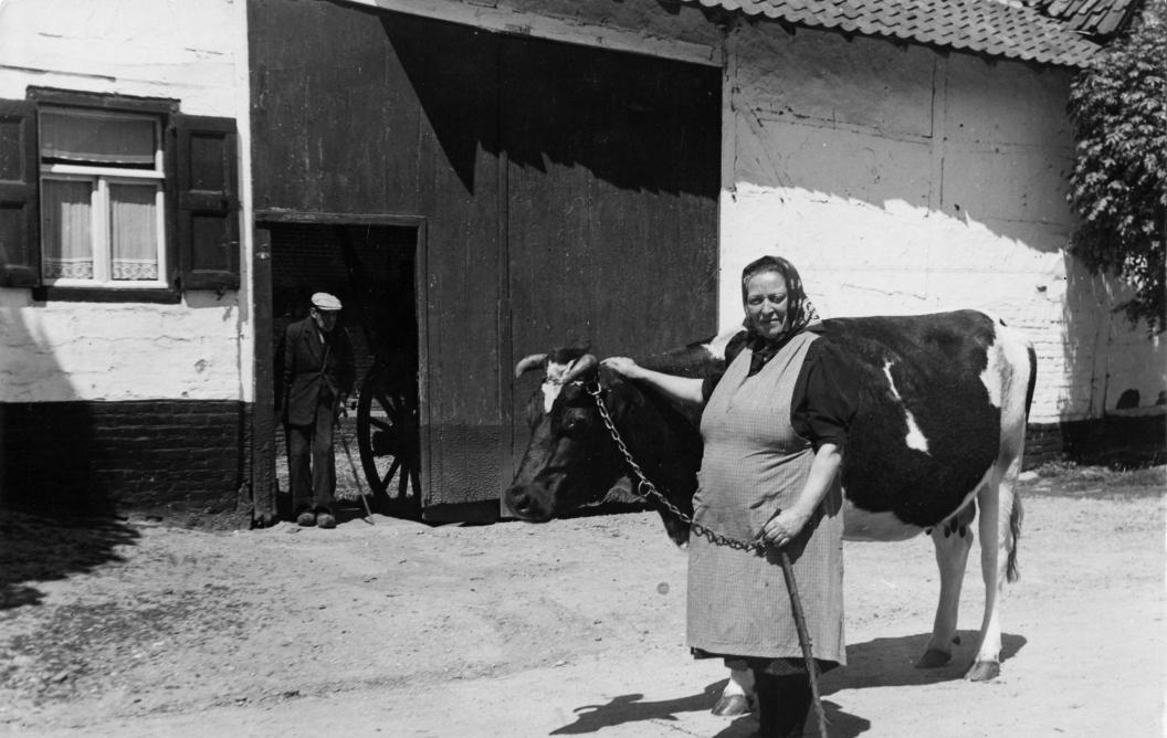 Een boerin (mevrouw Loozen) staat klaar om met een koe naar de stier te gaan. In de poortopening staat een oudere boer die leunt op een stok. Reijmerstok (Gulpen-Wittem), 1945-1961. Fotograaf: Hub. Leufkens