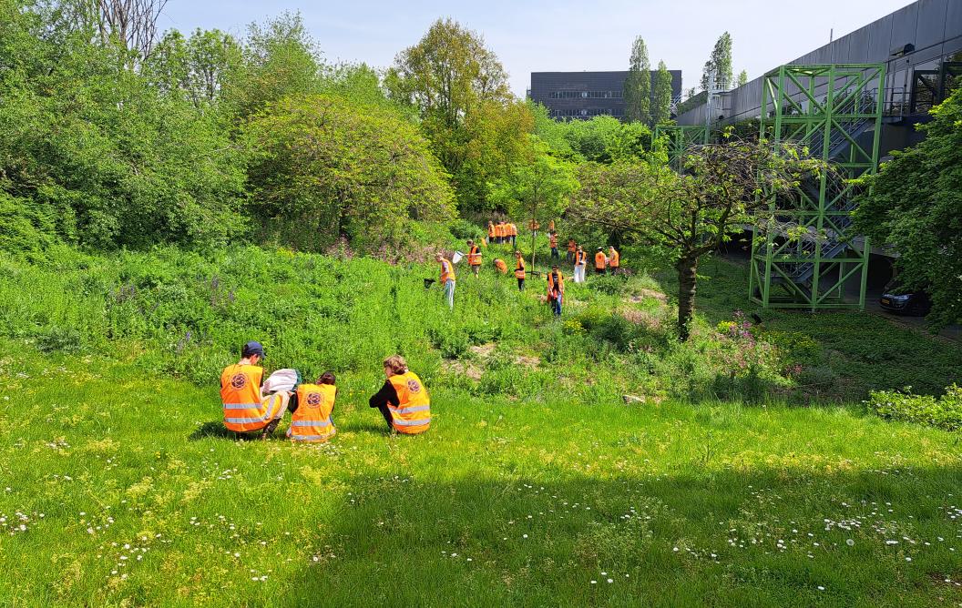 Bloemenweide at DUB30