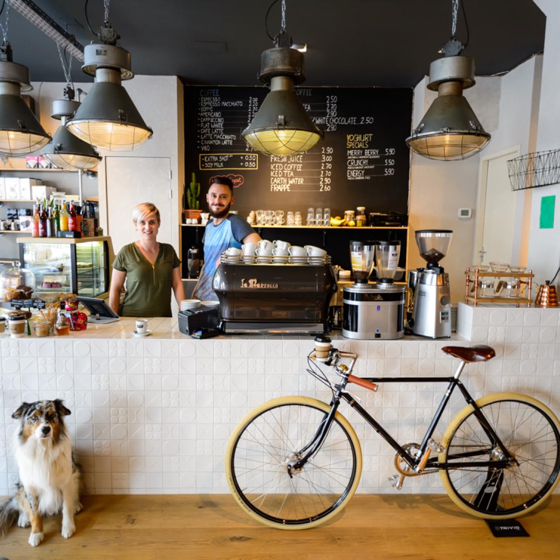 Alley Cat Bikes and Coffee