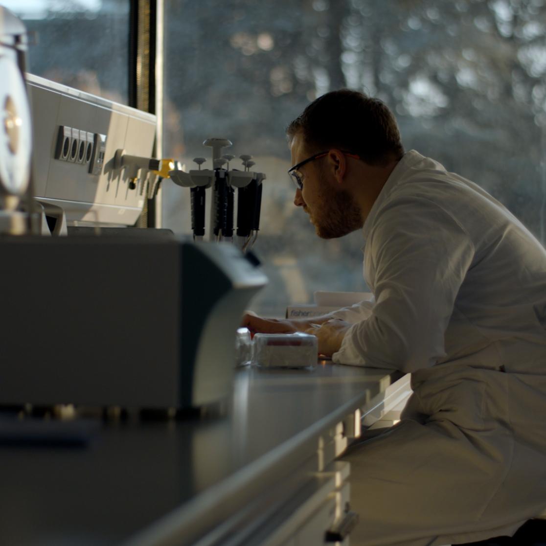 Master's programme Systems Biology