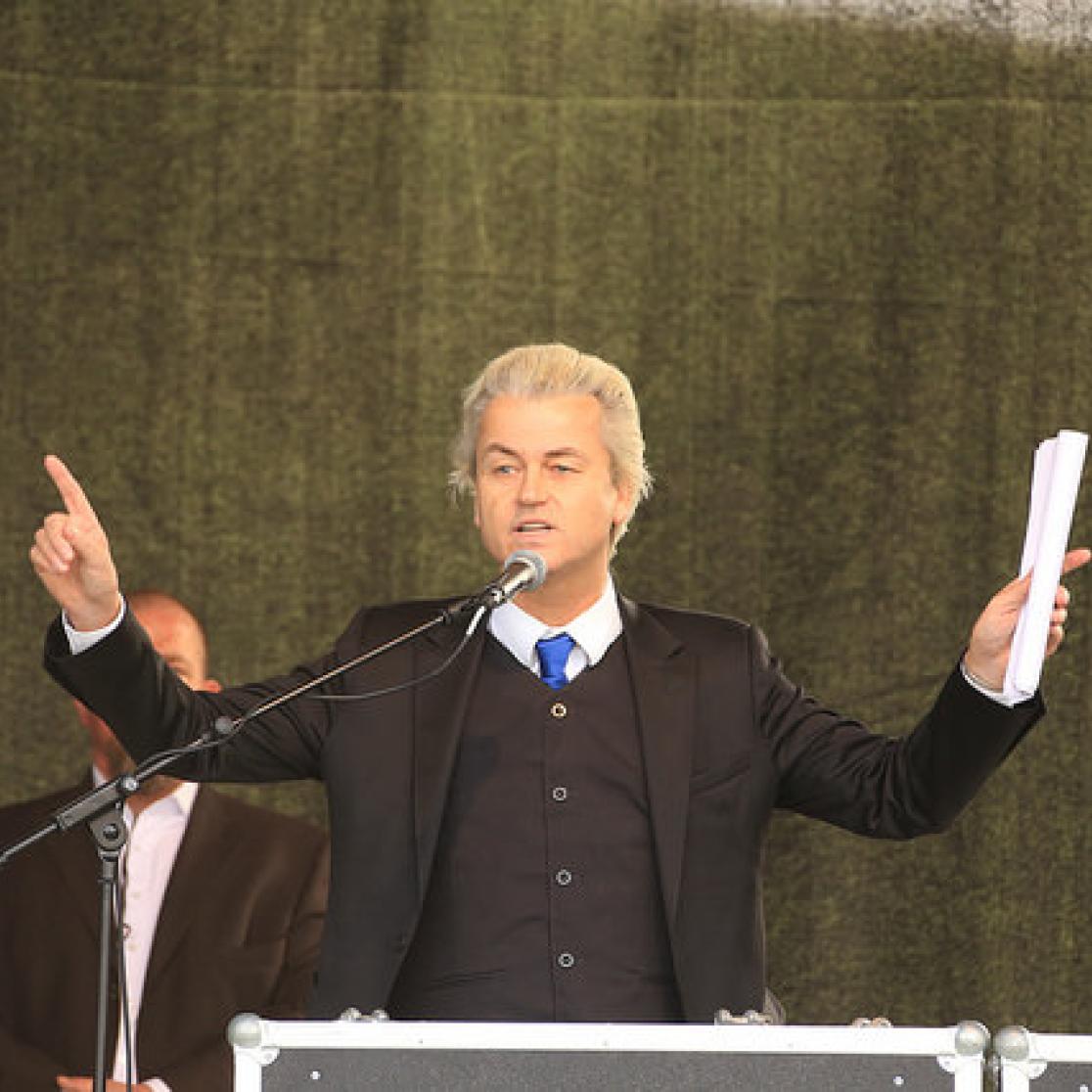 Blog Wilders