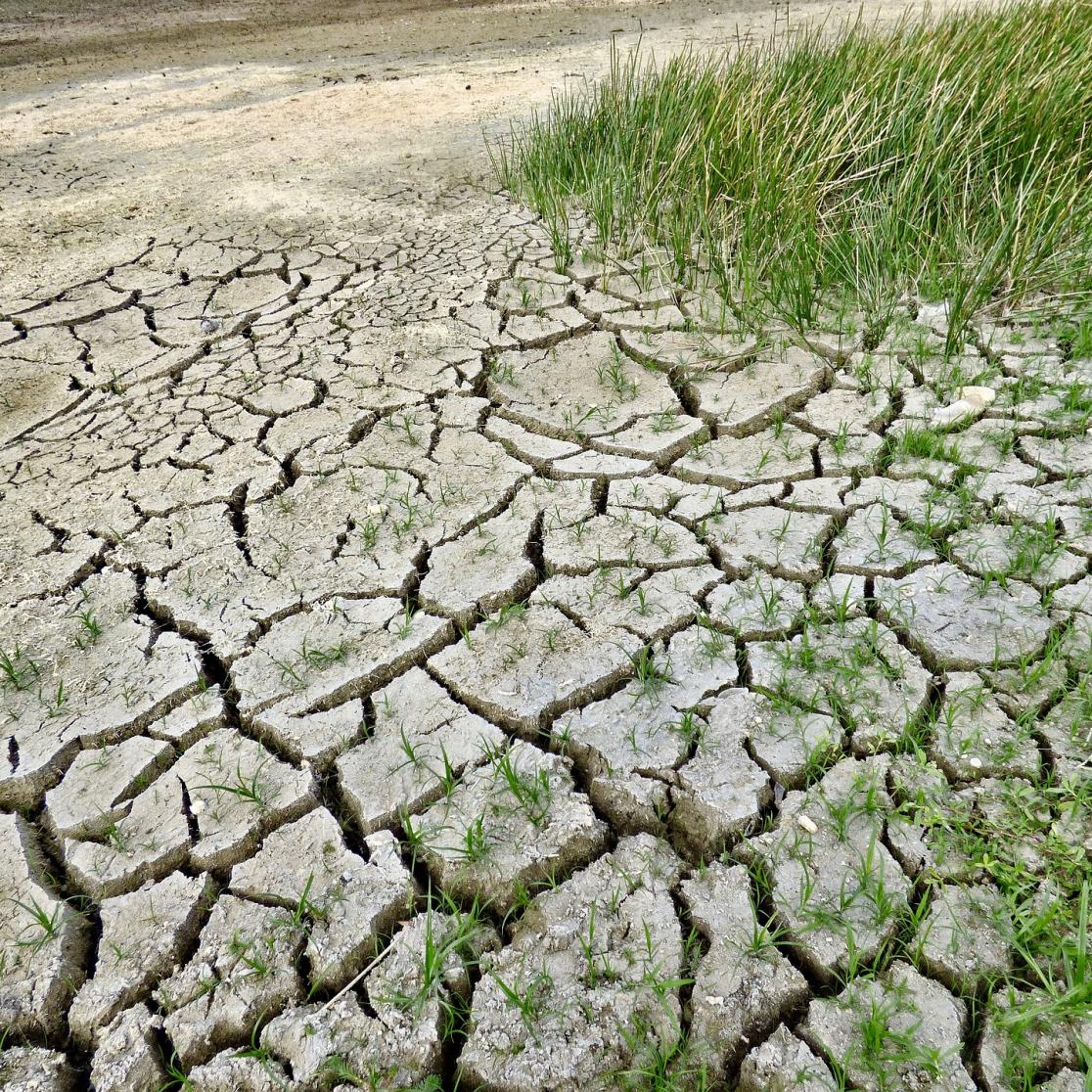 Climate change