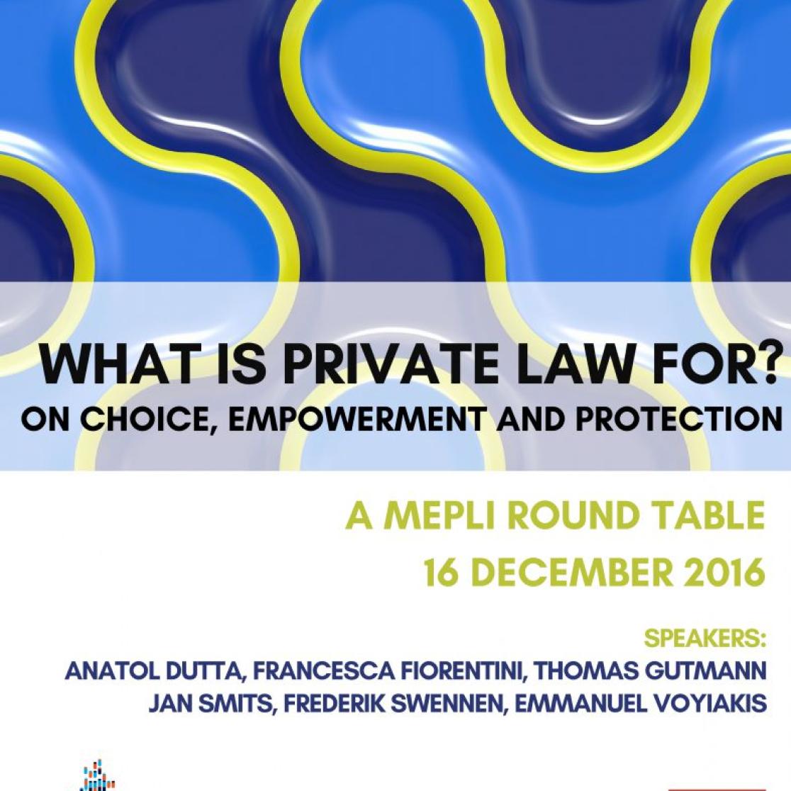 MEPLI round table: what is law for?
