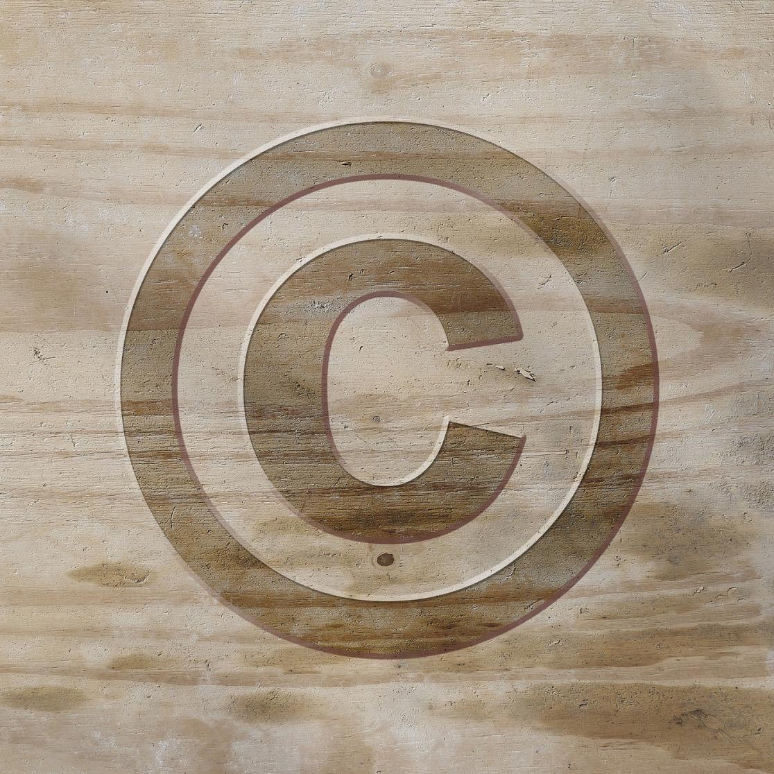 Copyright law blog Laura Delgado