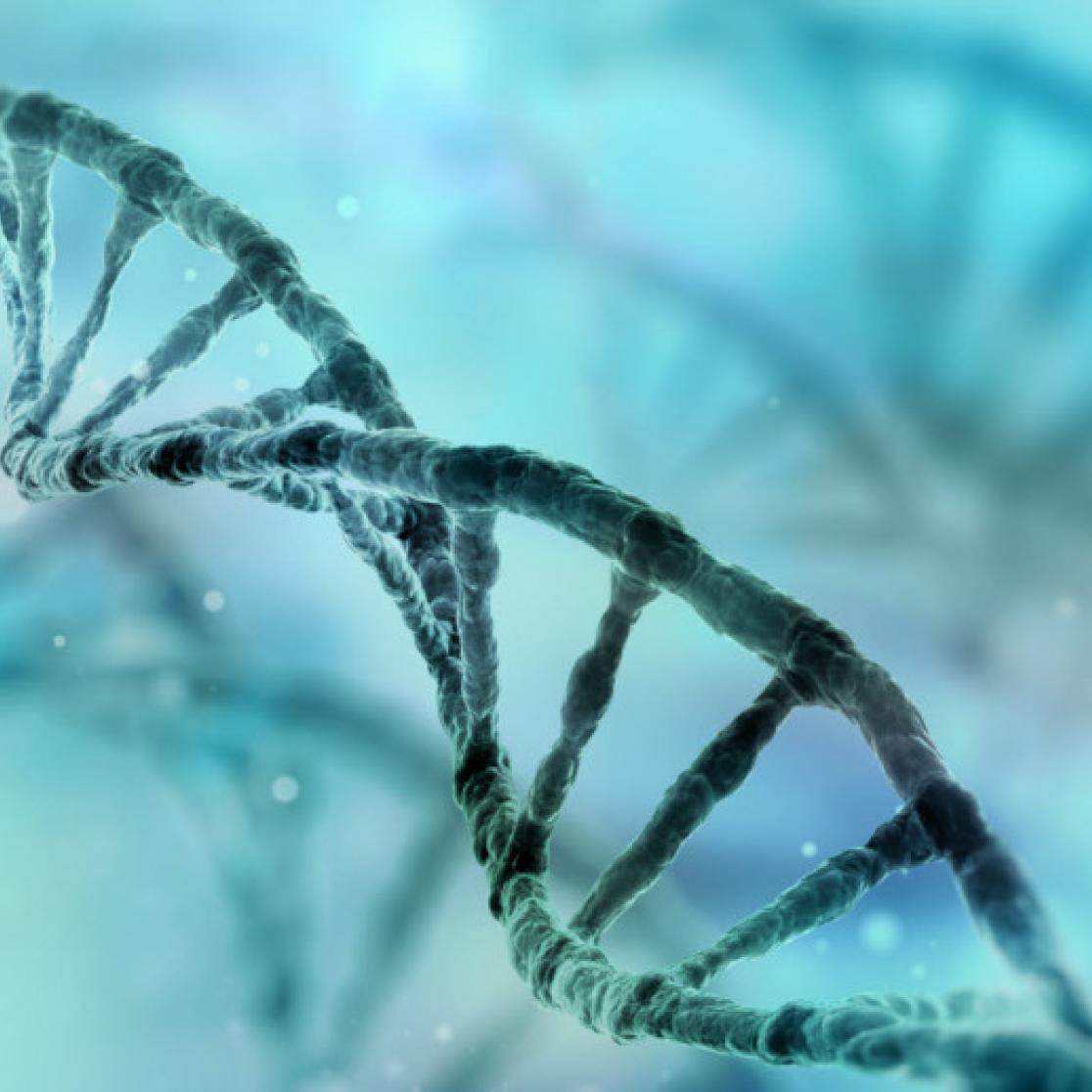 DNA streng genetica