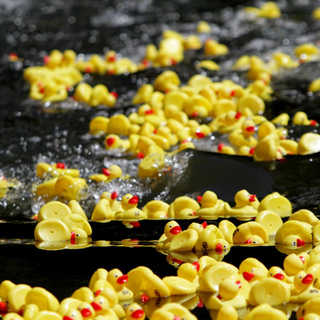 Duckrace 2018