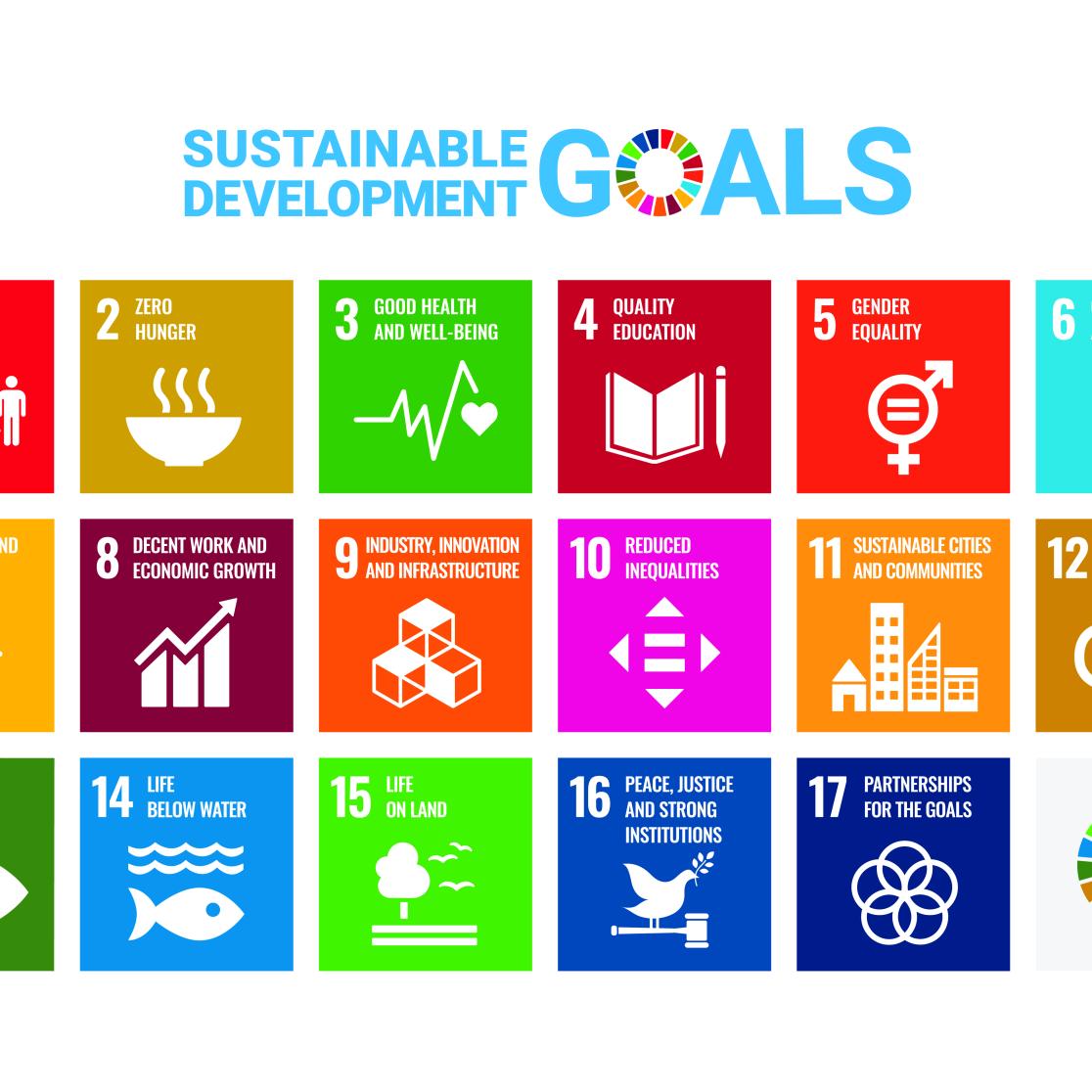 sdg