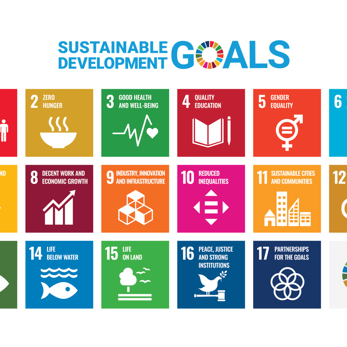 SDG logo's