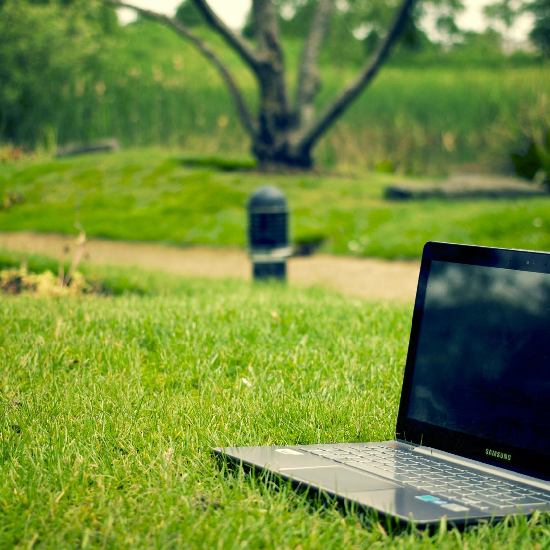 laptop_grass