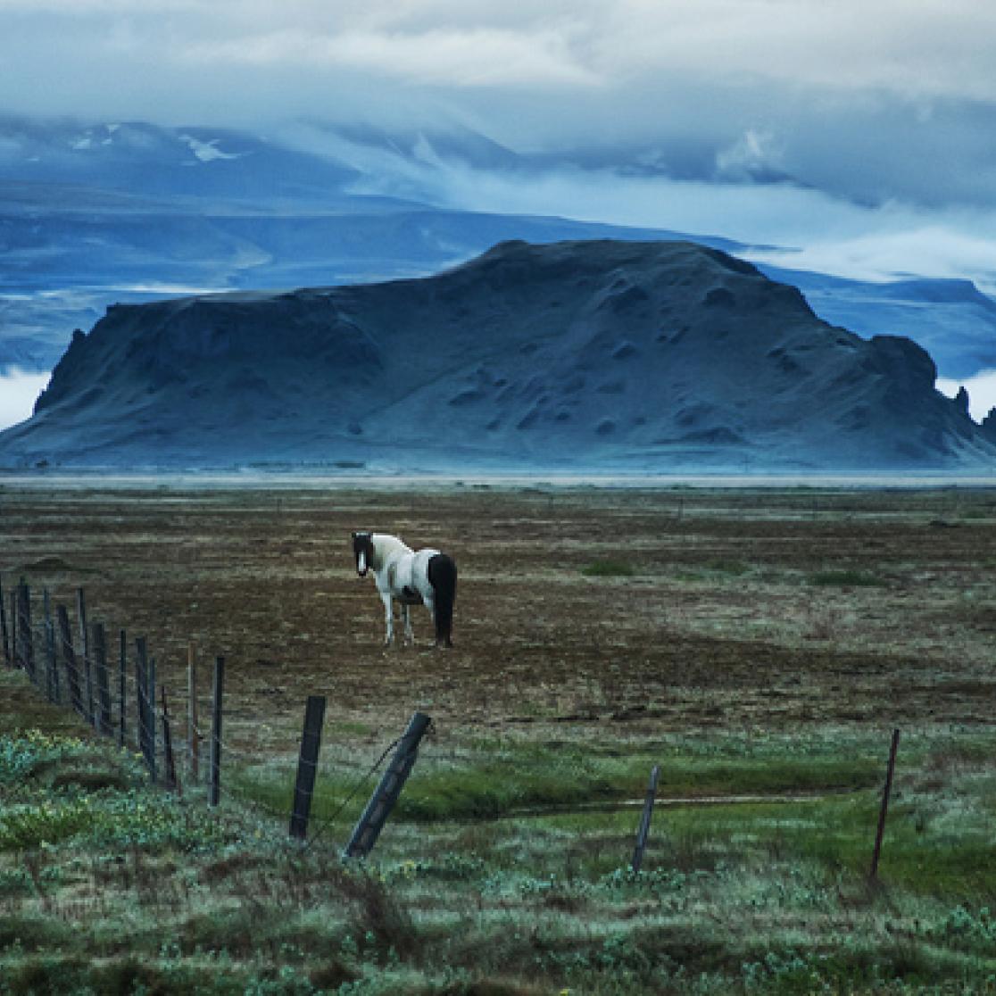 Ecological Function Paradigm of Ownership_ Law Blogs Maastricht