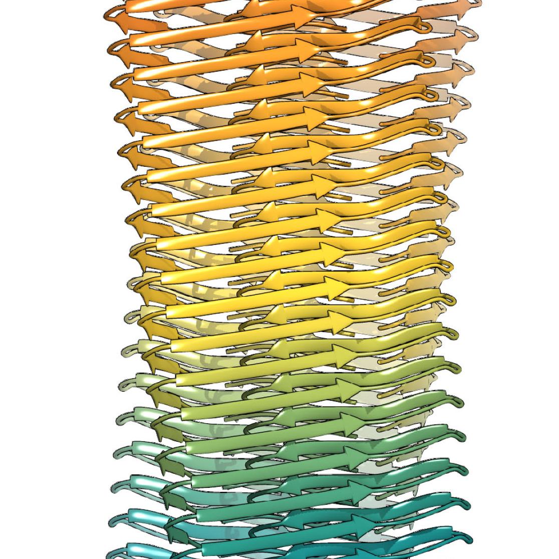Structure Amyloid-beta
