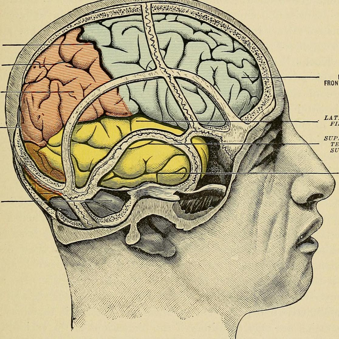 Epilepsy