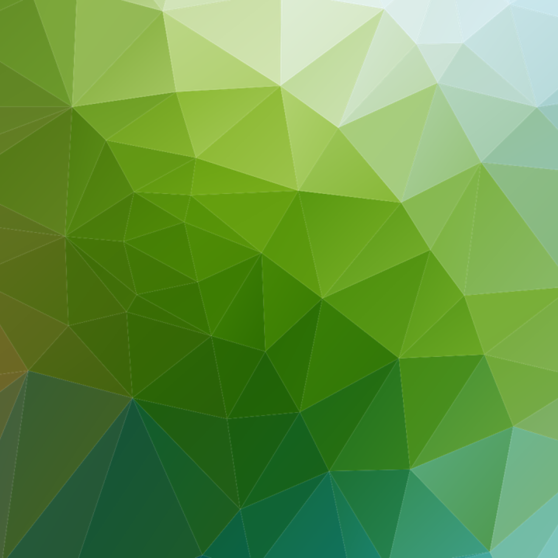 Green patent_The social function of inventions: let “green patents” save the planet