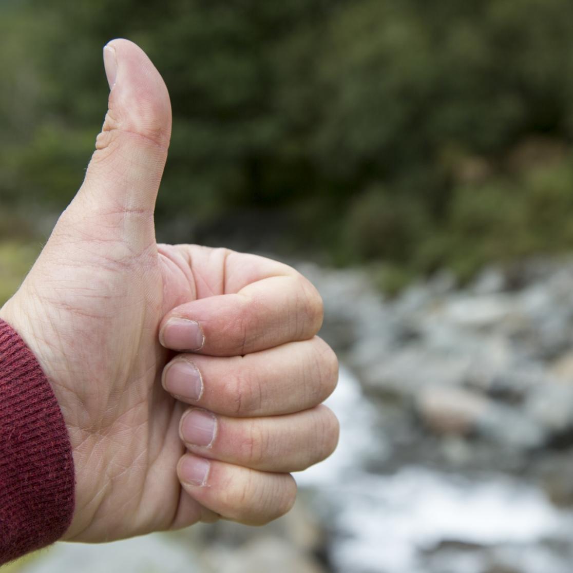 hand showing a thumb up sign